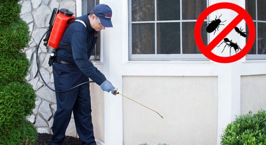 Yazıhan Böcek ve Haşere İlaçlama böcek ilaçlama ve haşere kontrolü — ilaclama-tr.com